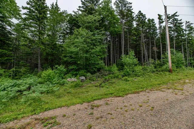 $54,000 | Lot 40 Estates Road, Steuben, ME 04680