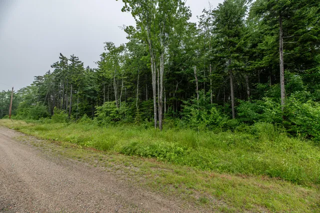 $54,000 | Lot 40 Estates Road, Steuben, ME 04680
