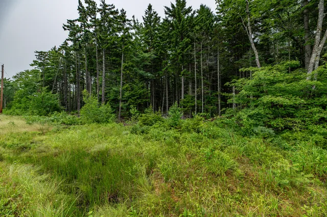 $54,000 | Lot 40 Estates Road, Steuben, ME 04680
