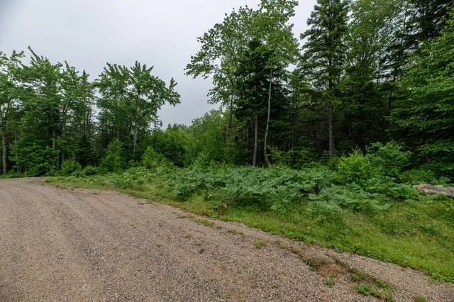 $54,000 | Lot 40 Estates Road, Steuben, ME 04680
