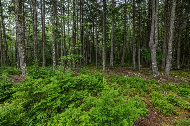 $54,000 | Lot 40 Estates Road, Steuben, ME 04680