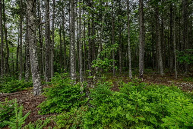 $54,000 | Lot 40 Estates Road, Steuben, ME 04680