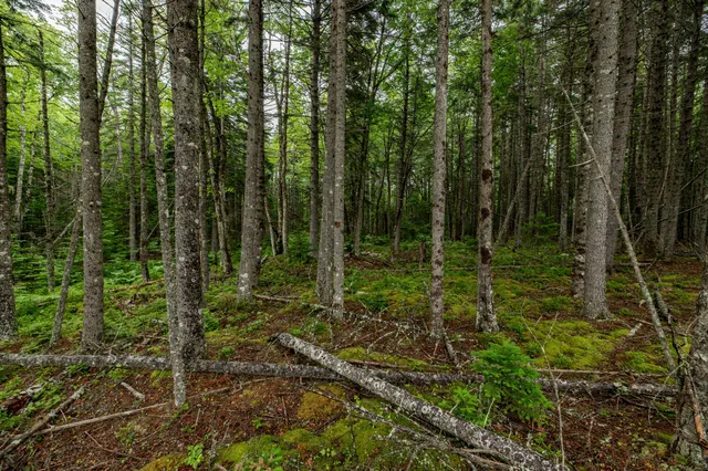 $54,000 | Lot 40 Estates Road, Steuben, ME 04680