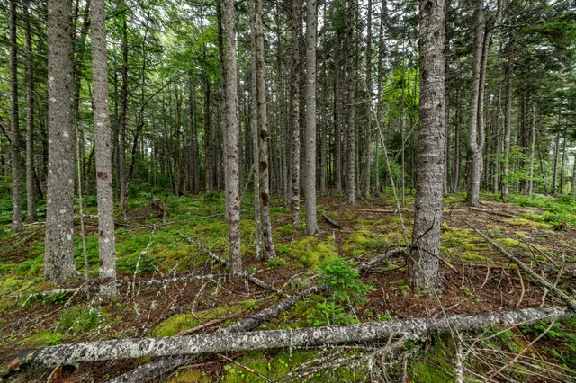 $54,000 | Lot 40 Estates Road, Steuben, ME 04680