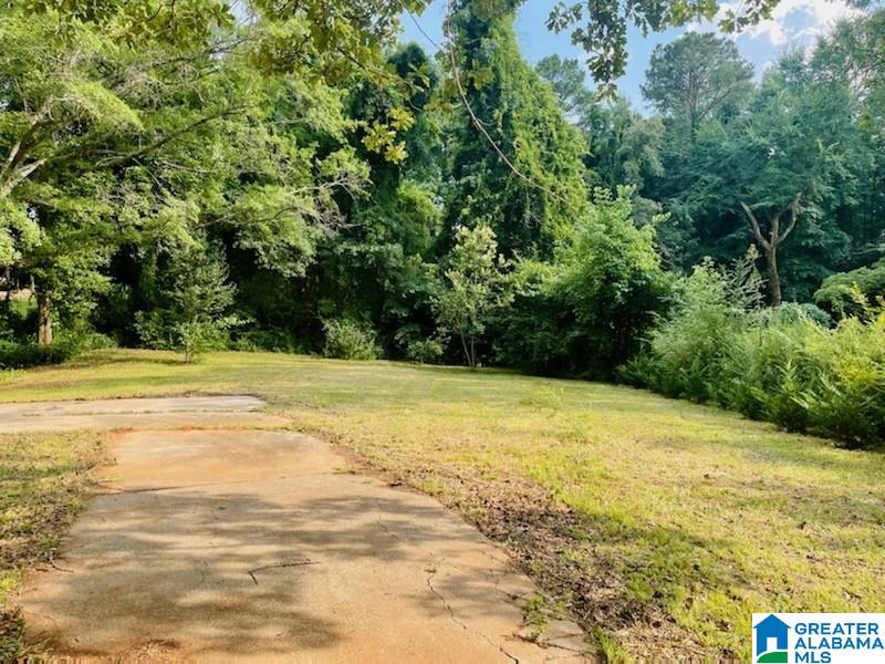 5980 Coleman Lake Road McCalla, AL 35111 - Photo 8 of 8