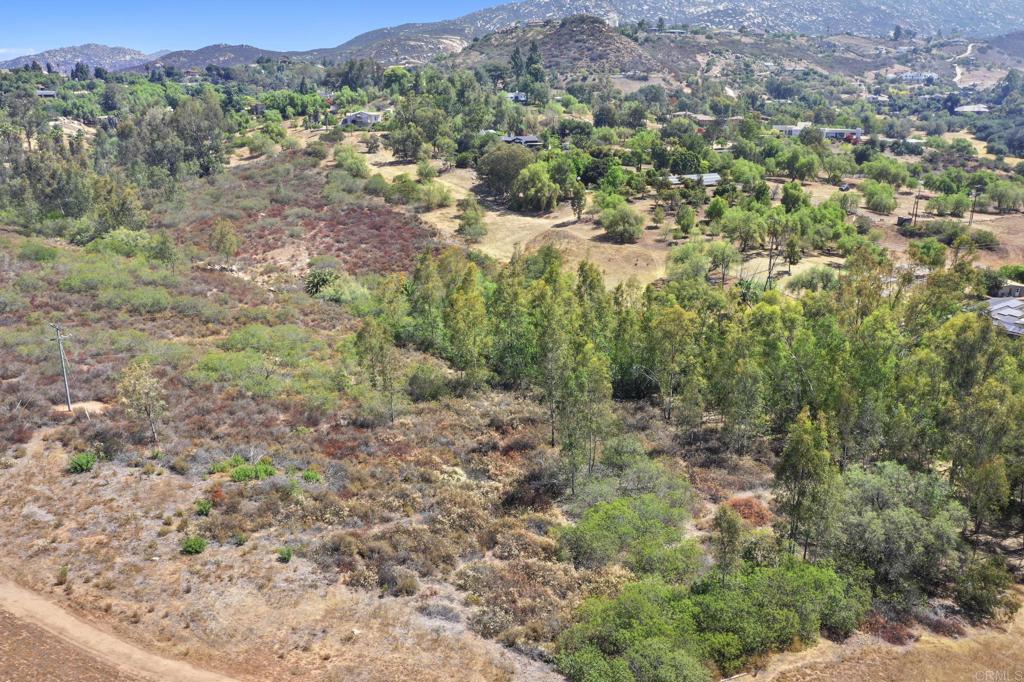 0 Vali Hai Road Poway, CA 92064 - Photo 24 of 46 a view of a forest with a forest