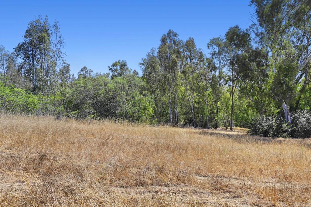 0 Vali Hai Road Poway, CA 92064 - Photo 39 of 46 a view of a yard with trees in the background