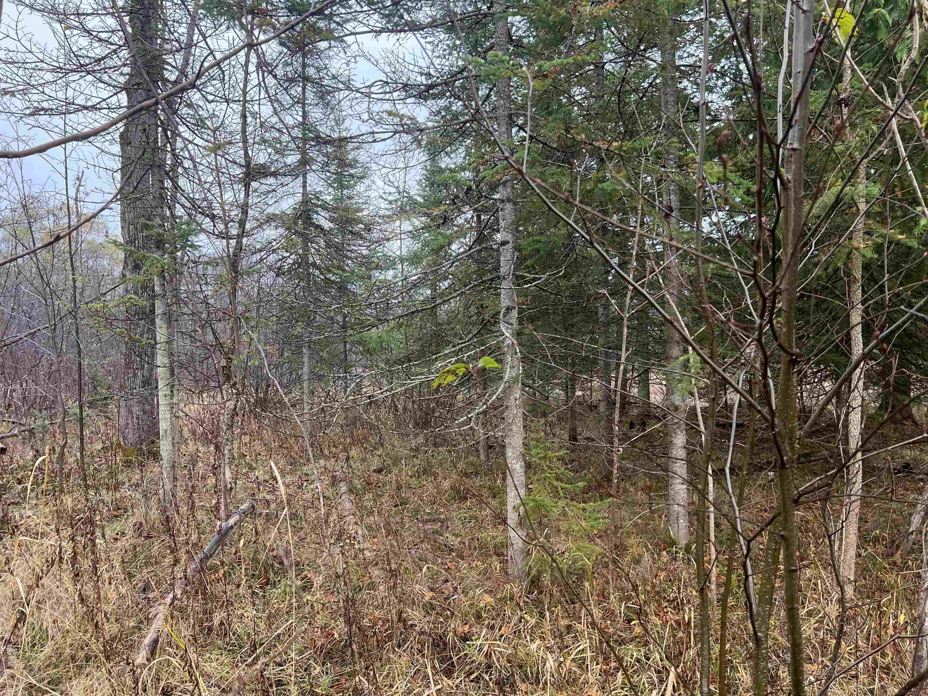 Long Rapids Road Alpena, MI 49707 - Photo 17 of 47 Gallery Image 17