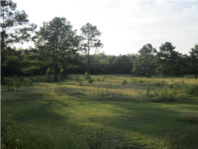 8244 Jordan Road Baker, FL 32531 - Photo 6 of 32 a view of a lake