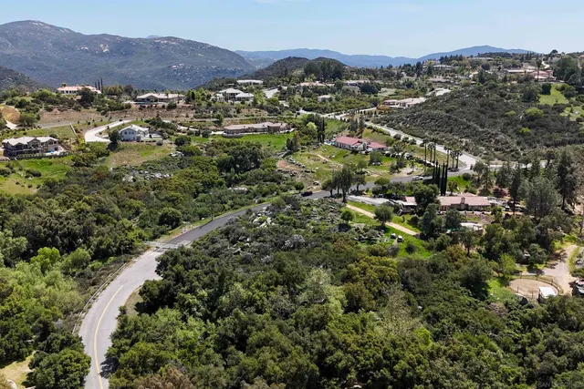 a view of a lush green hillside and houses
