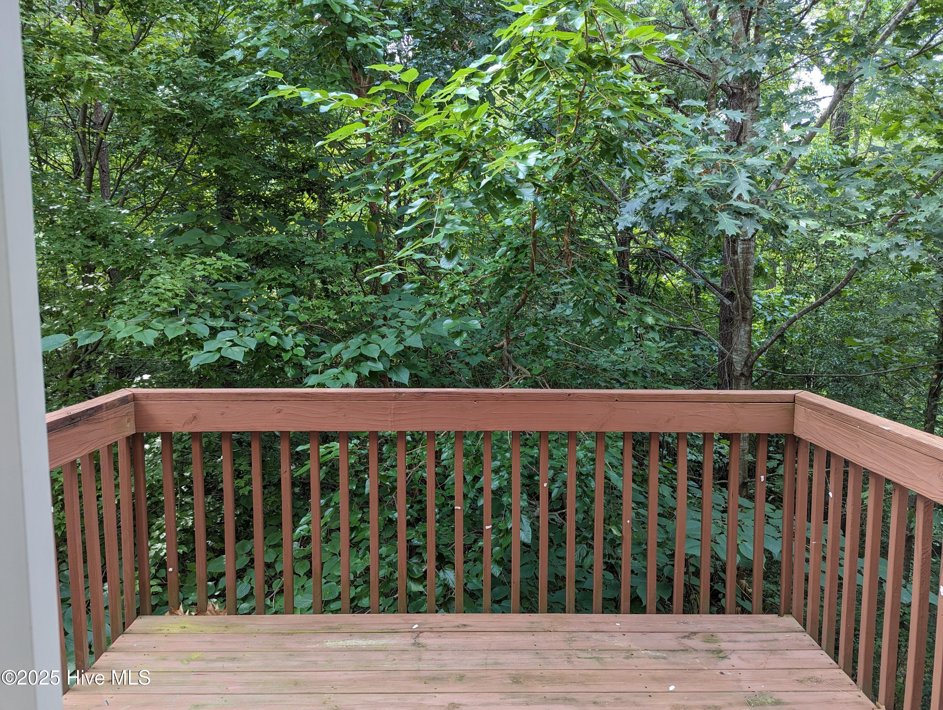 2710 Wyntercrest Lane Durham, NC 27713 - Photo 2 of 14 back deck 2