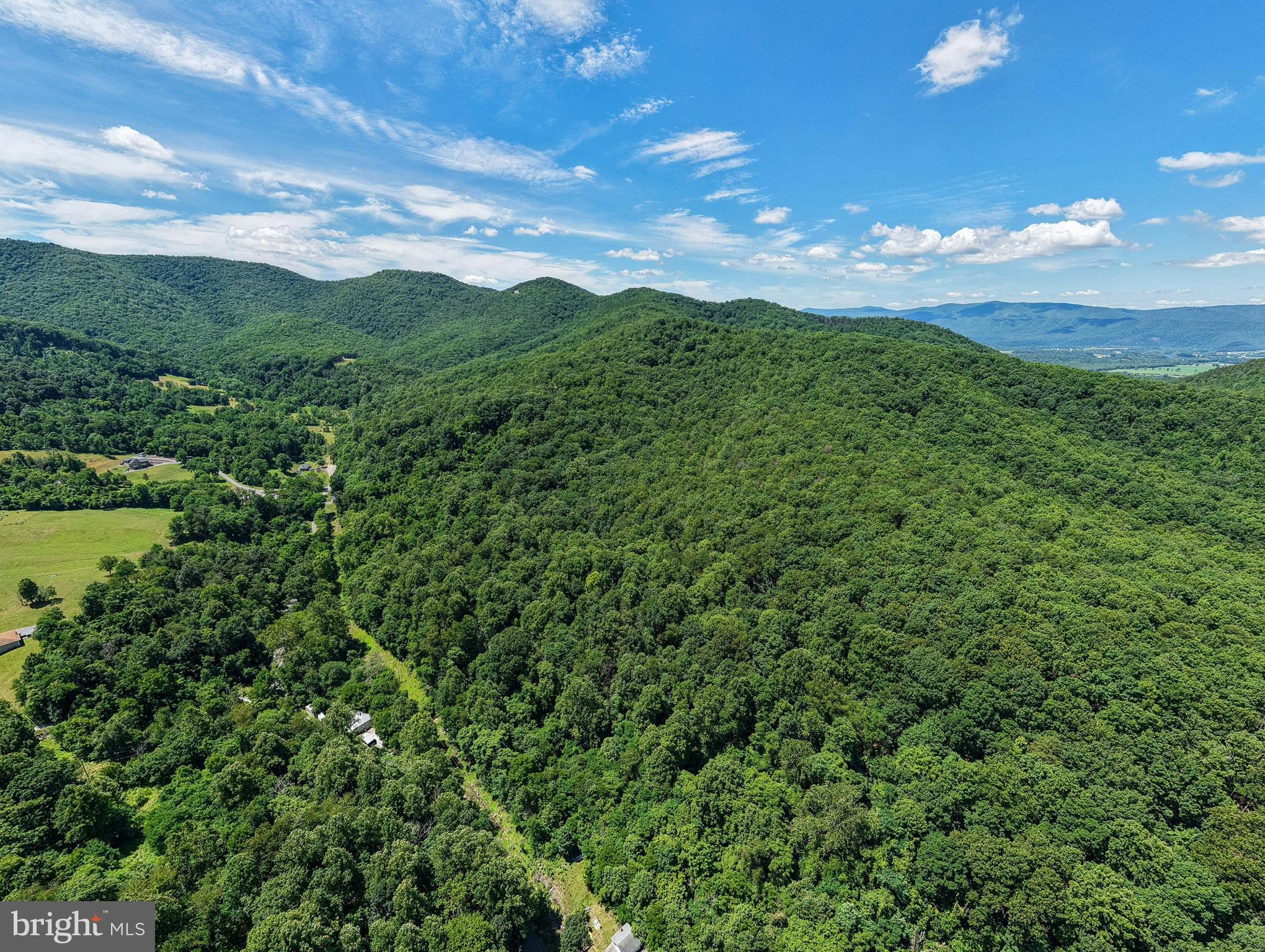 0 Dovel Hollow Road Stanley, VA 22851 - Photo 14 of 22
