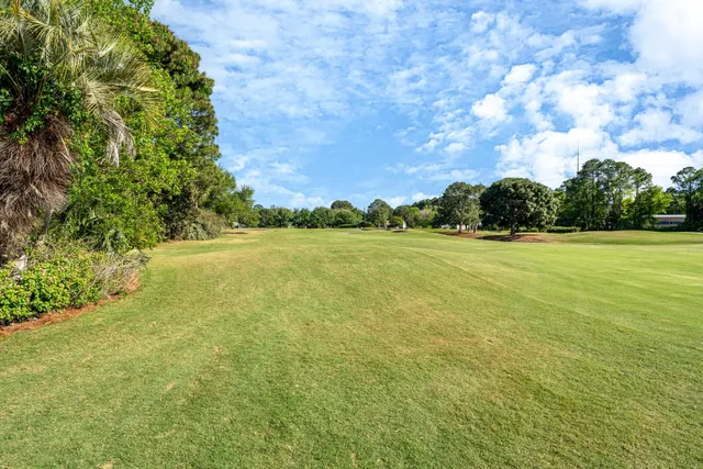 a view of a yard with a tree