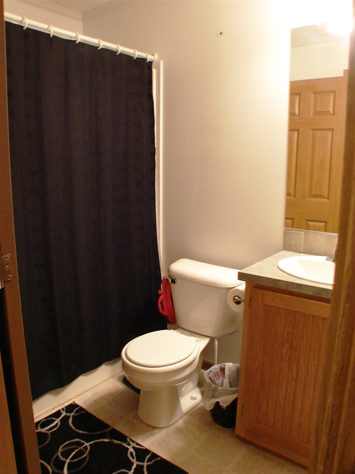 2540 South Alger Road Ithaca, MI 48847 - Photo 17 of 58 1810656-16.JPG