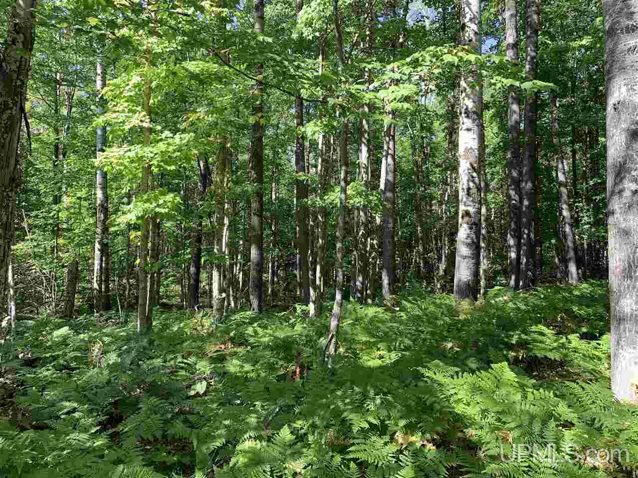 6 Indian Cemetery Road Lanse, MI 49946 - Photo 10 of 16