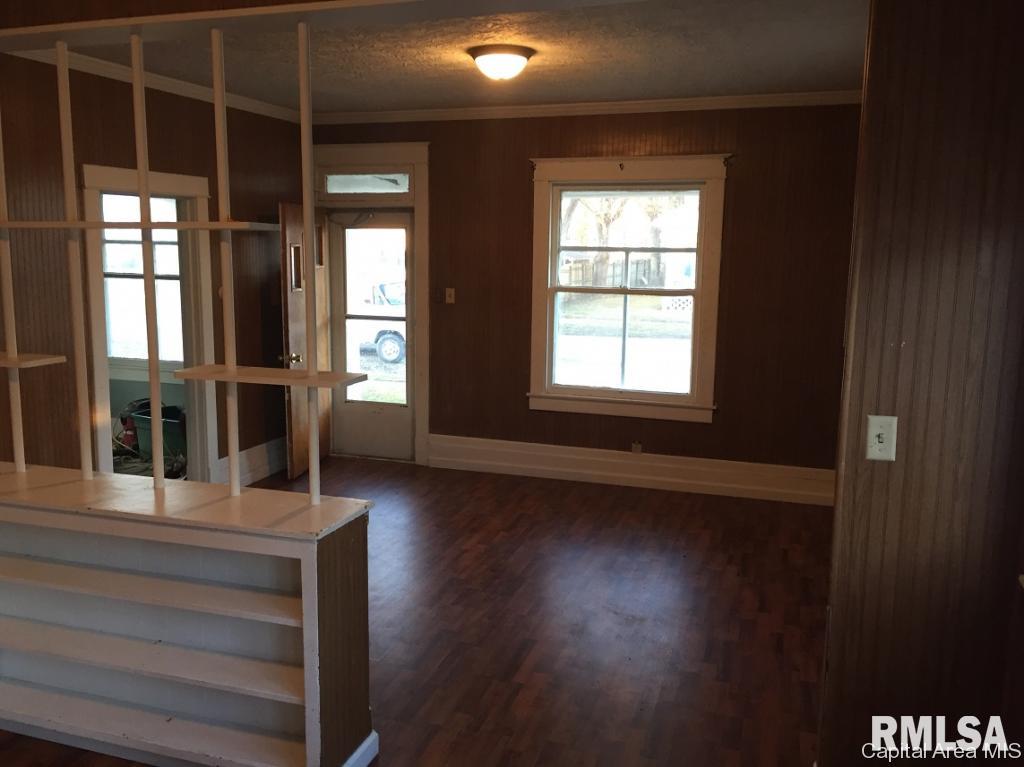 208 East North Street Roodhouse, IL 62082 - Photo 3 of 11 Gallery Image 3