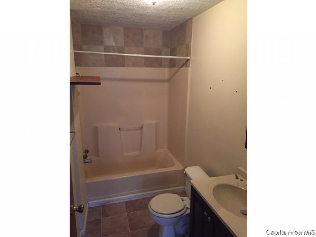 208 East North Street Roodhouse, IL 62082 - Photo 4 of 11 Gallery Image 4