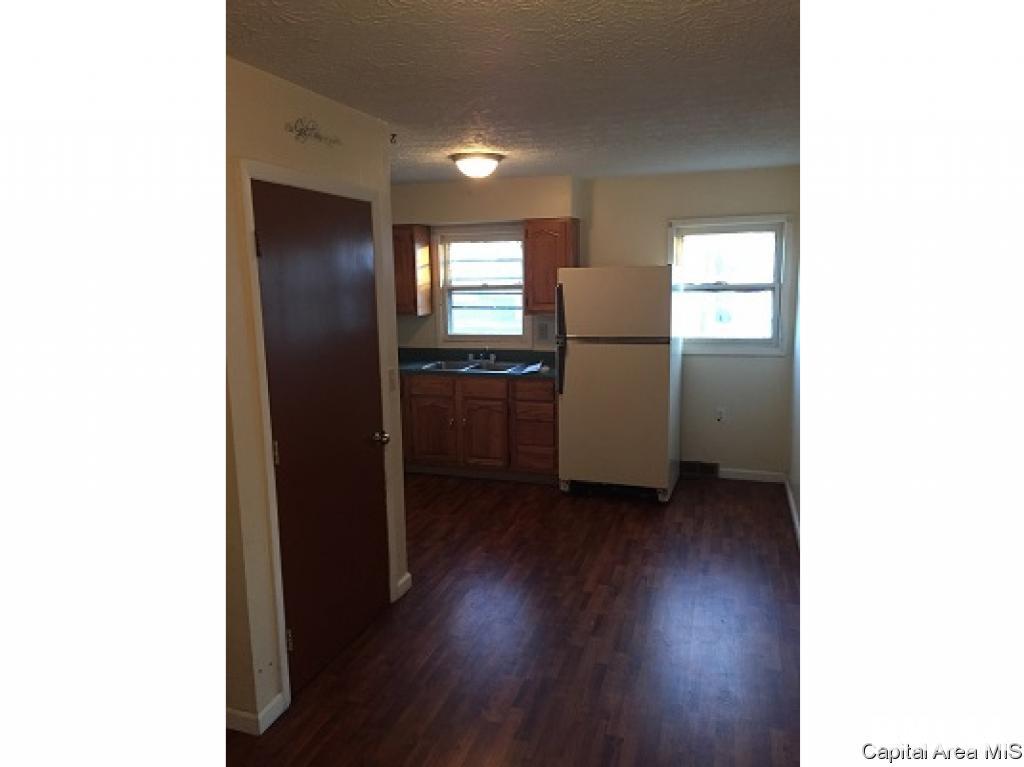 208 East North Street Roodhouse, IL 62082 - Photo 9 of 11 Gallery Image 9