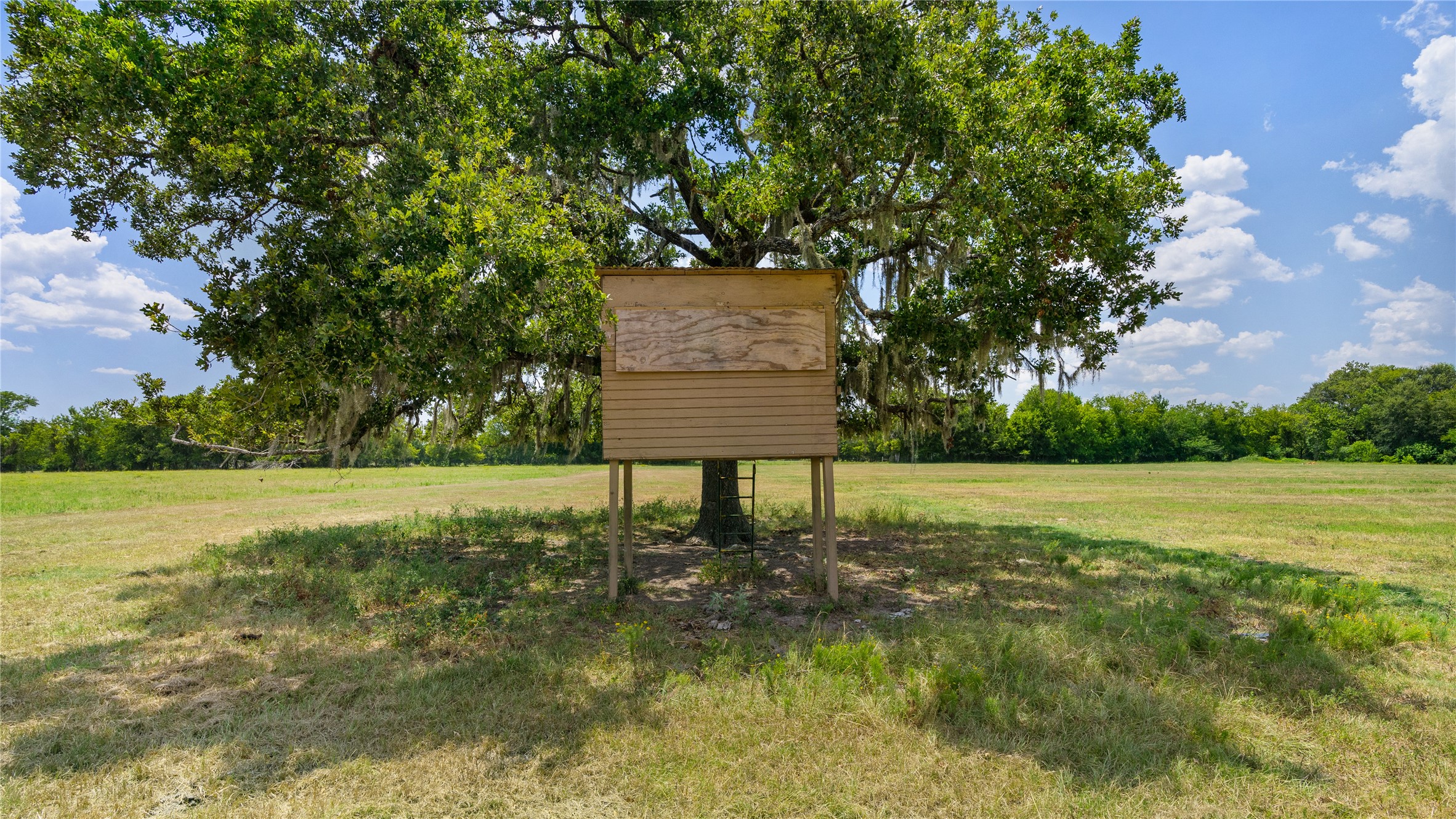 41115 Community Road Magnolia, TX 77354 - Photo 27 of 28 a view of a back yard