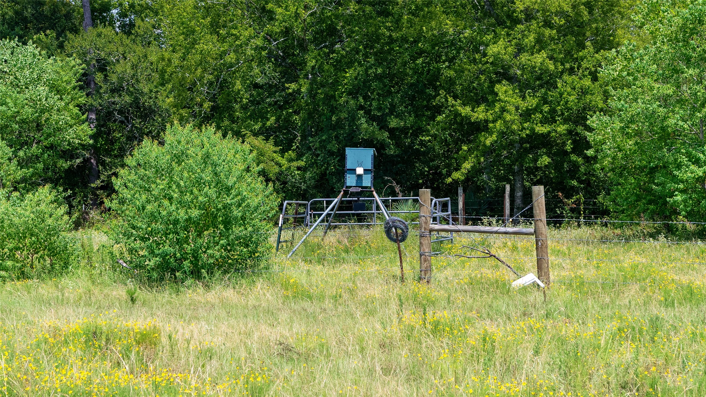 41115 Community Road Magnolia, TX 77354 - Photo 28 of 28 a swimming pool with some trees in the background