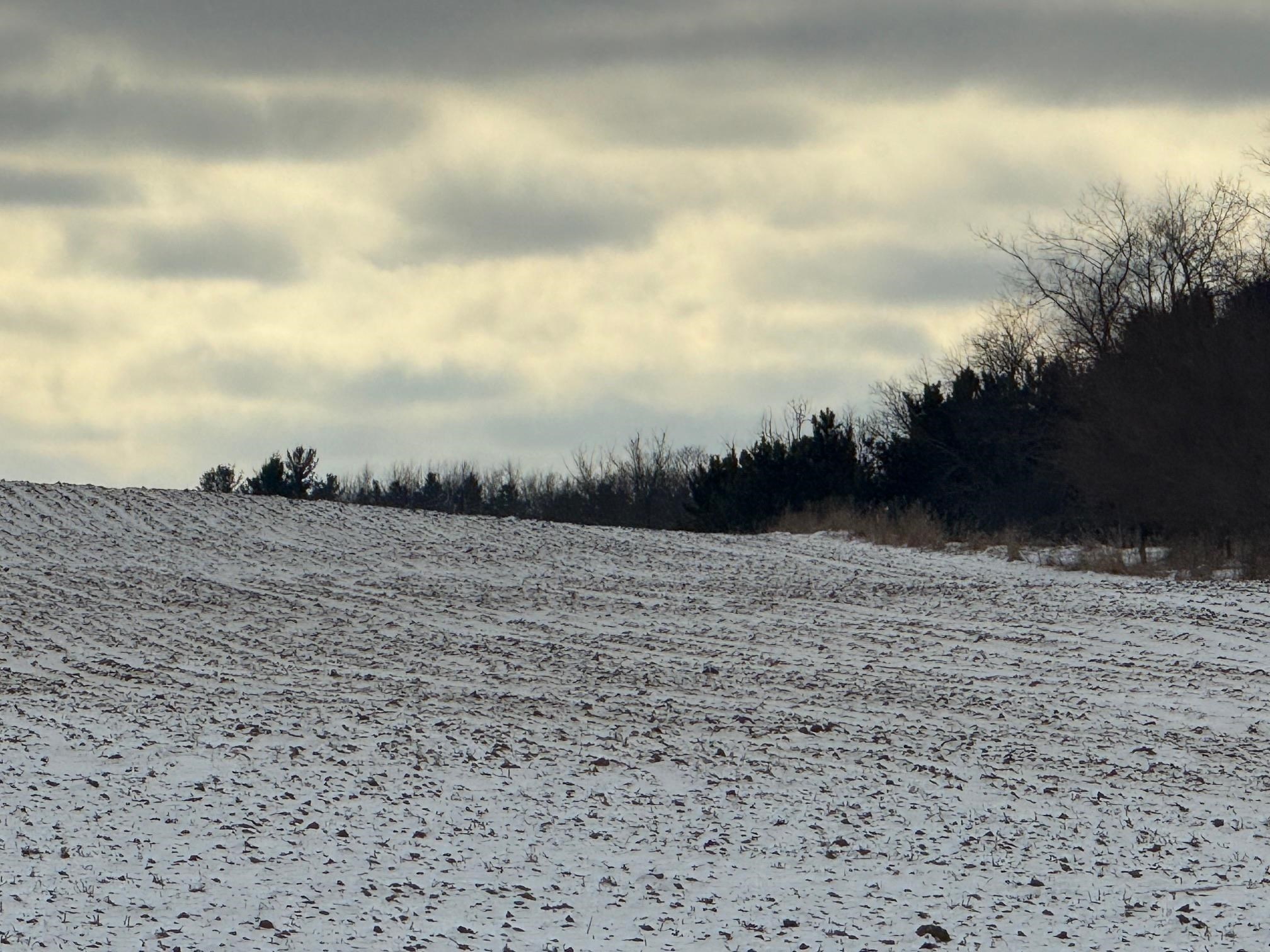 Lot 2 Carroll Portage, WI 53901 - Photo 3 of 4