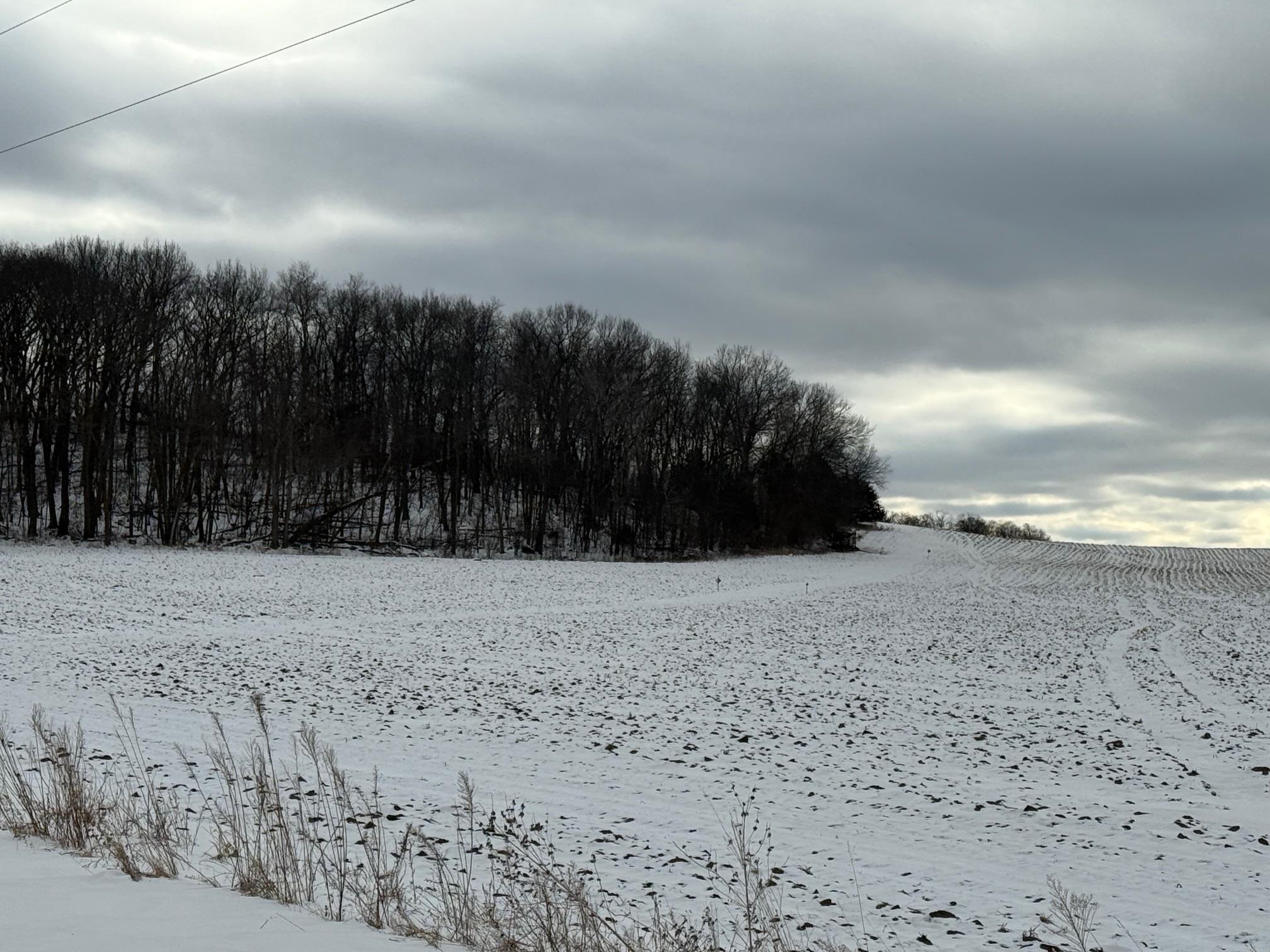 Lot 2 Carroll Portage, WI 53901 - Photo 4 of 4