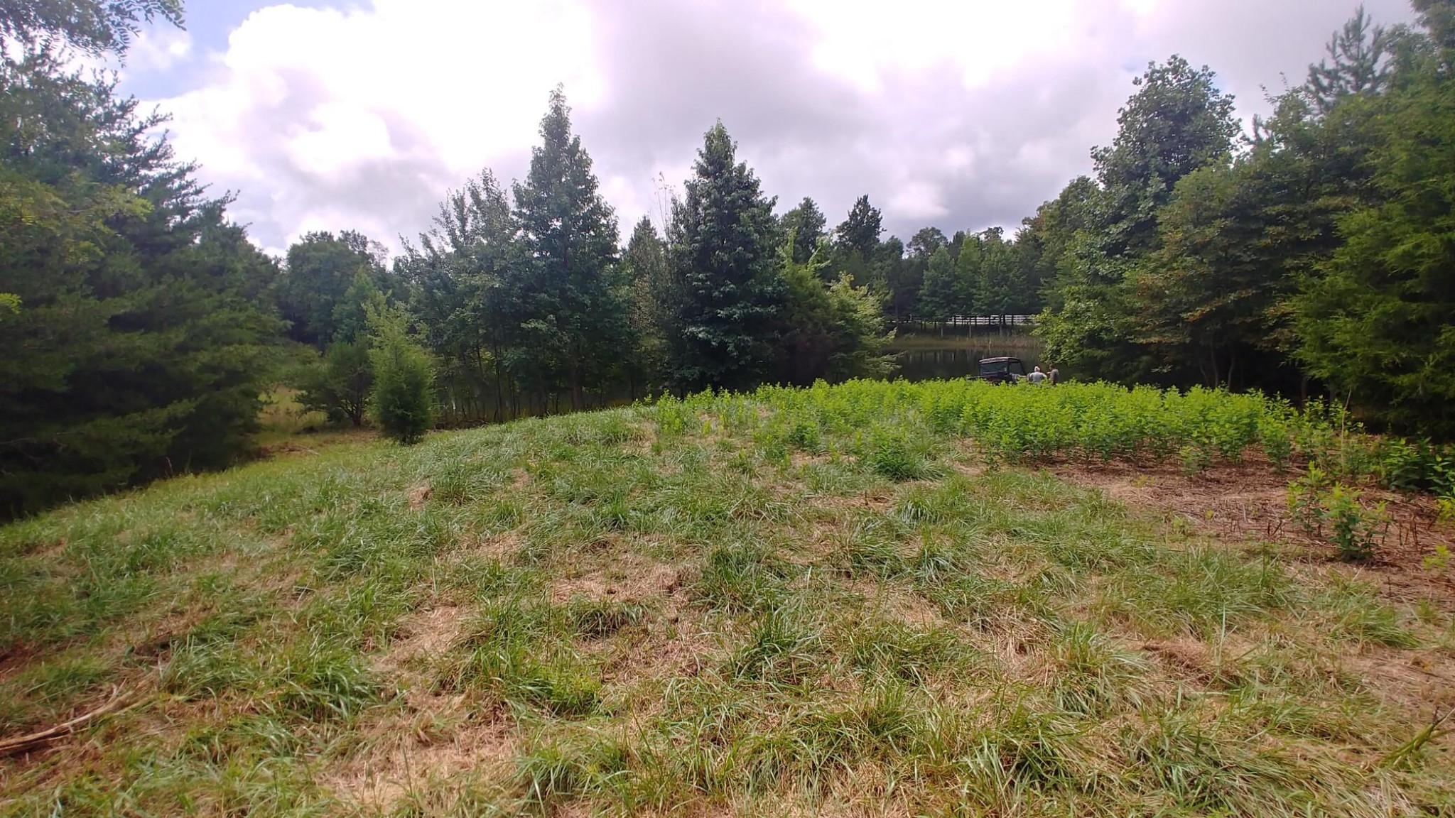 0 Mountain Top Trail Dunlap, TN 37327 - Photo 15 of 27