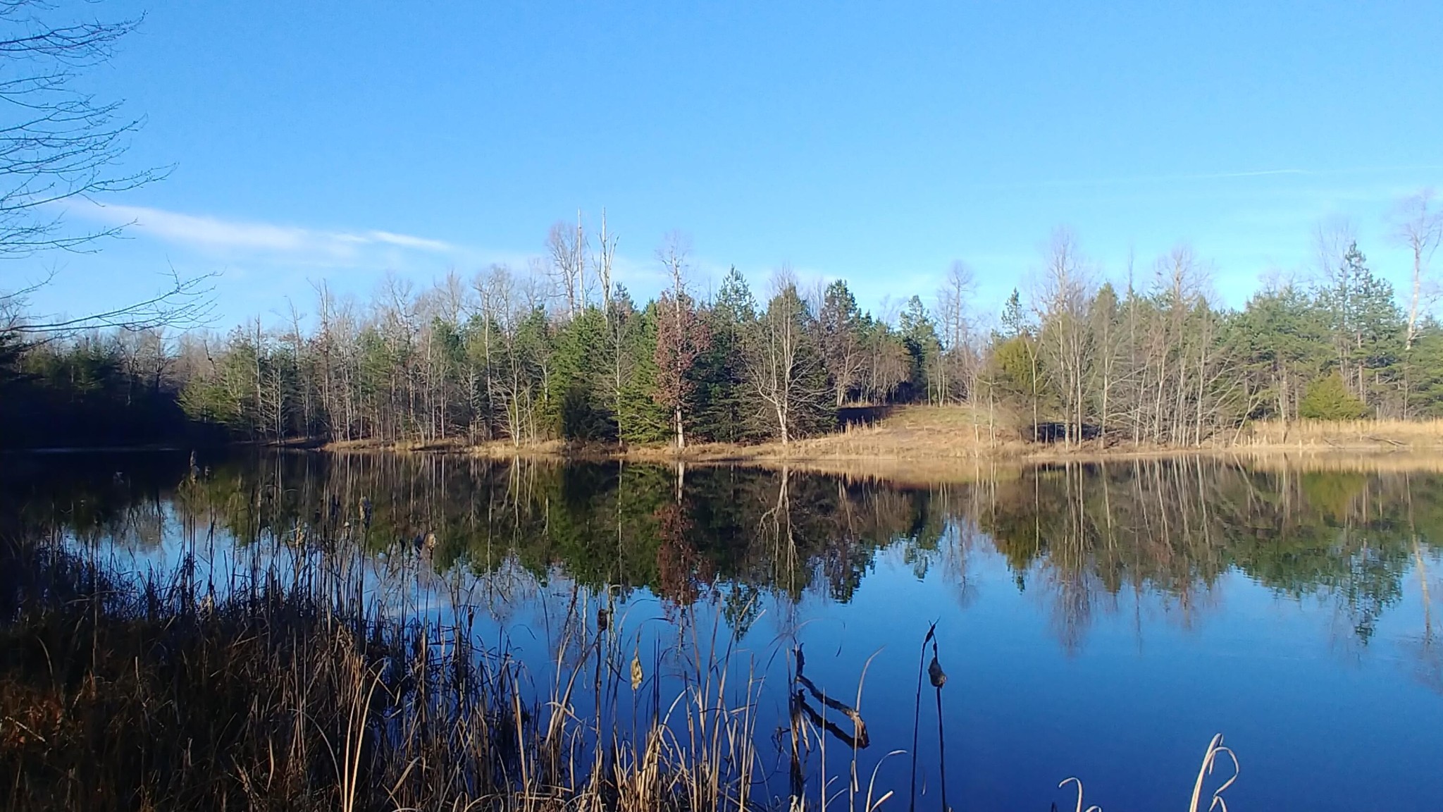 0 Mountain Top Trail Dunlap, TN 37327 - Photo 23 of 27