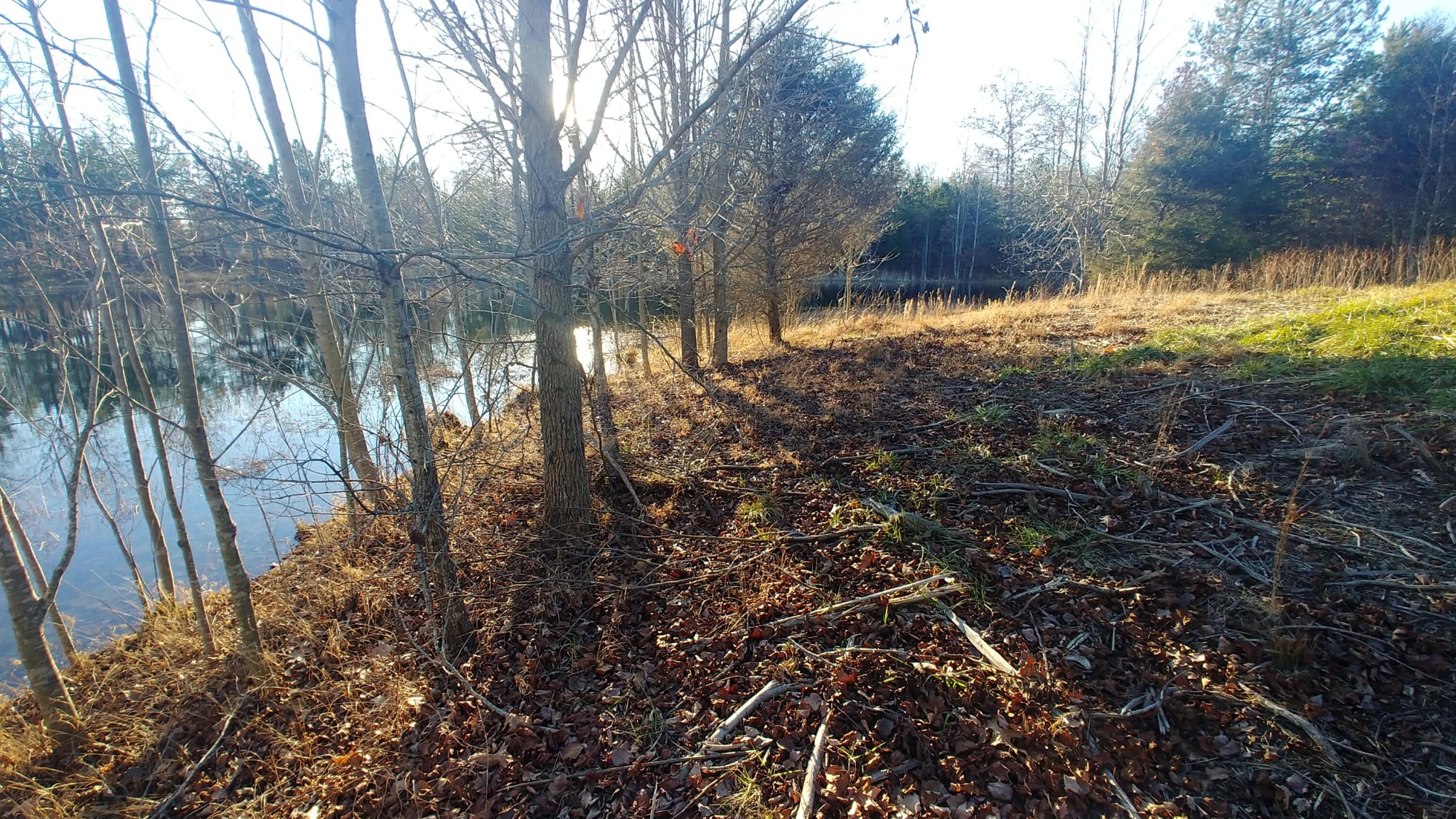0 Mountain Top Trail Dunlap, TN 37327 - Photo 27 of 27