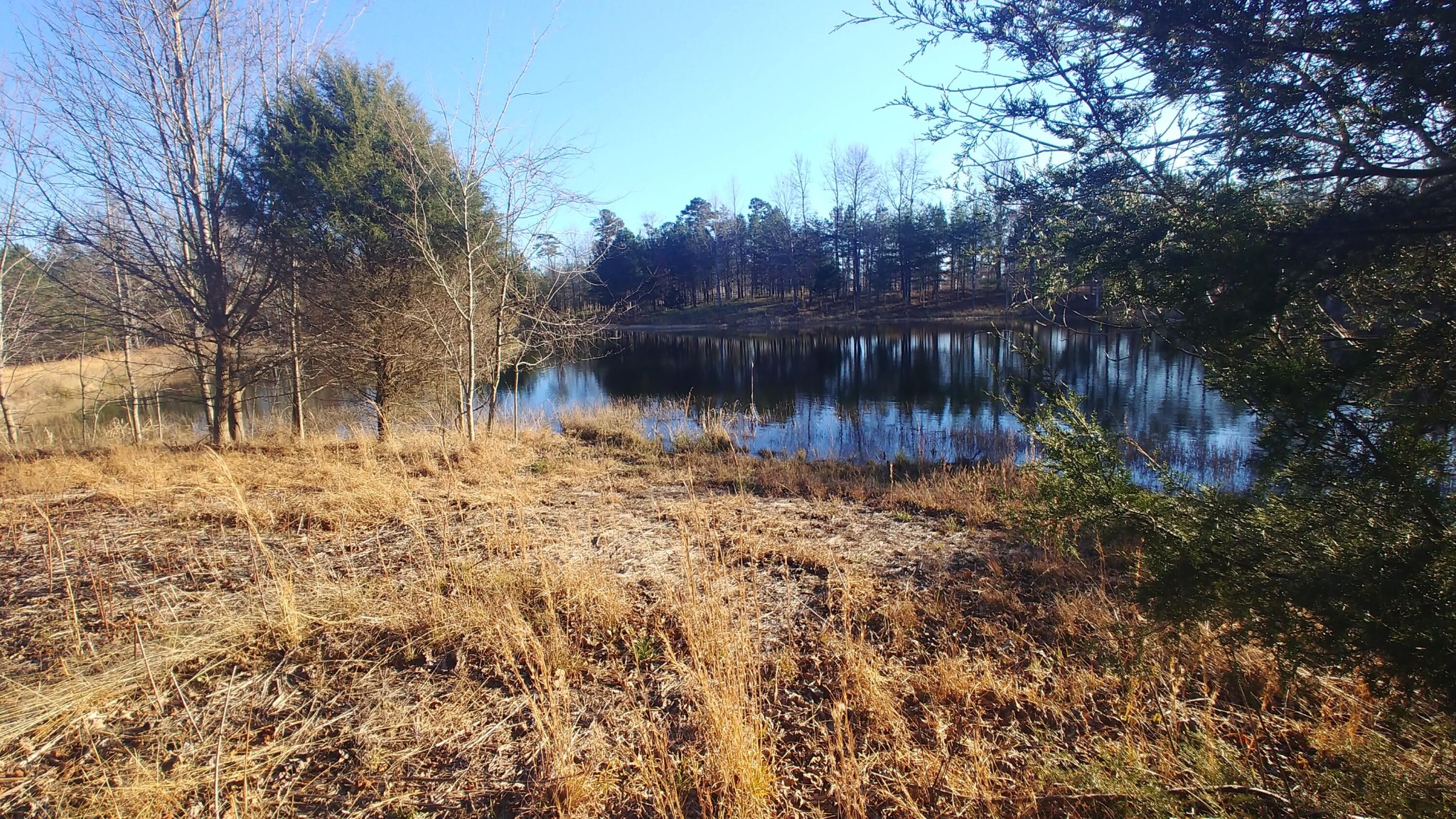 0 Mountain Top Trail Dunlap, TN 37327 - Photo 10 of 27