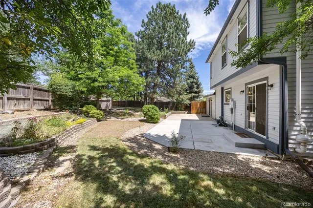 a view of backyard with tree