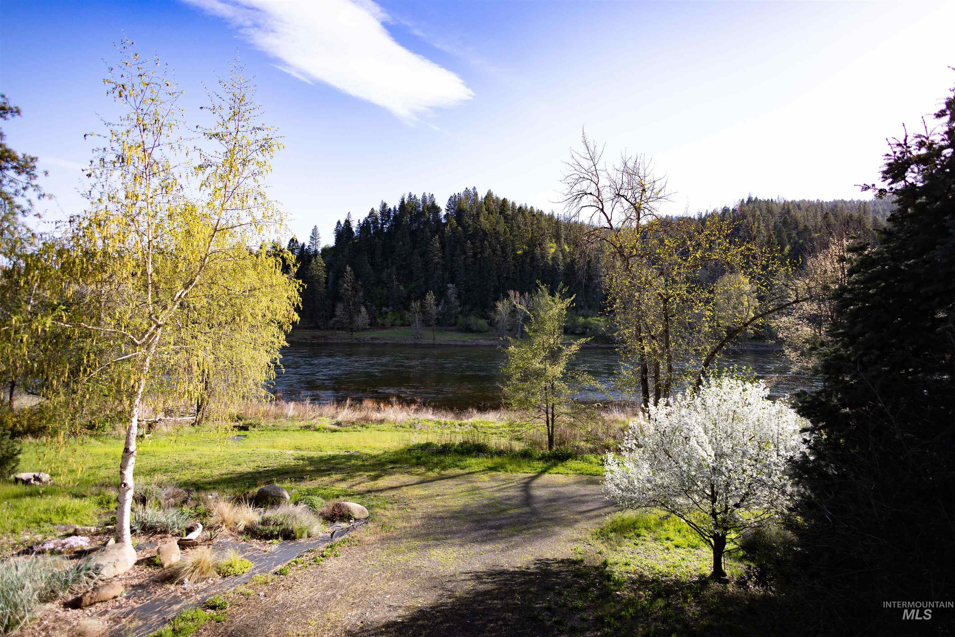 4480 Highway 12 Kamiah, ID 83536 - Photo 17 of 49 Expansive outdoor space featuring a dirt path, verdant grasses, and mature trees including a white-flowering tree