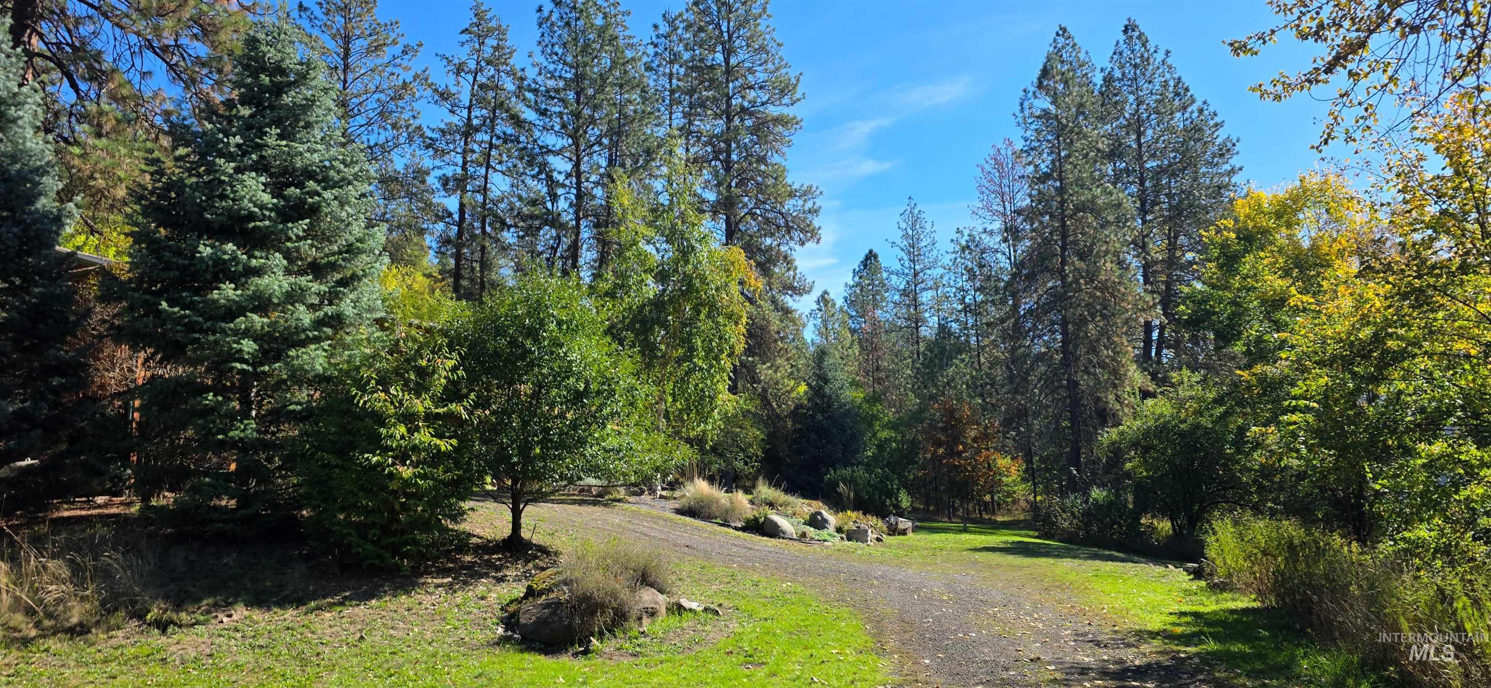 4480 Highway 12 Kamiah, ID 83536 - Photo 8 of 49 View of property's community featuring driveway and a wooded view
