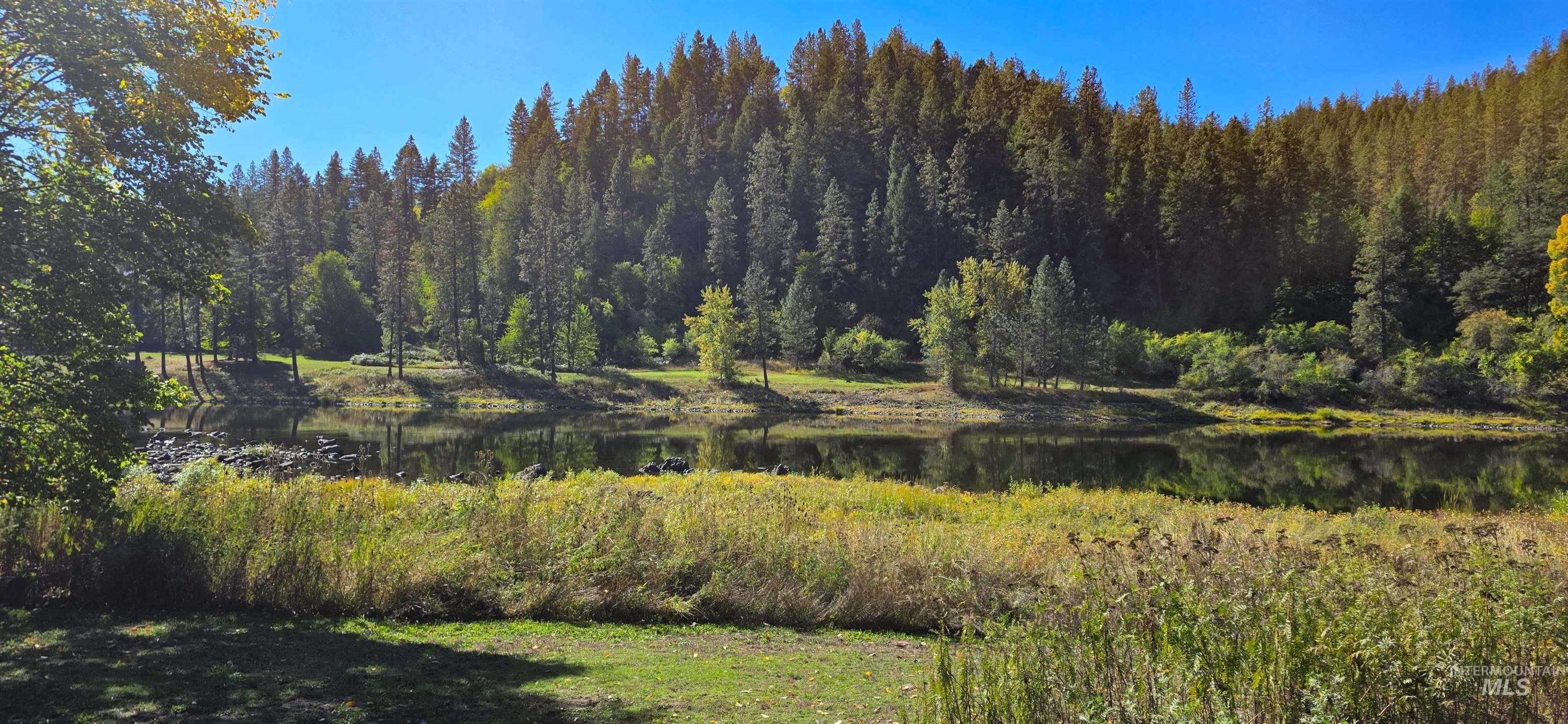 4480 Highway 12 Kamiah, ID 83536 - Photo 9 of 49 View of woods featuring a water view