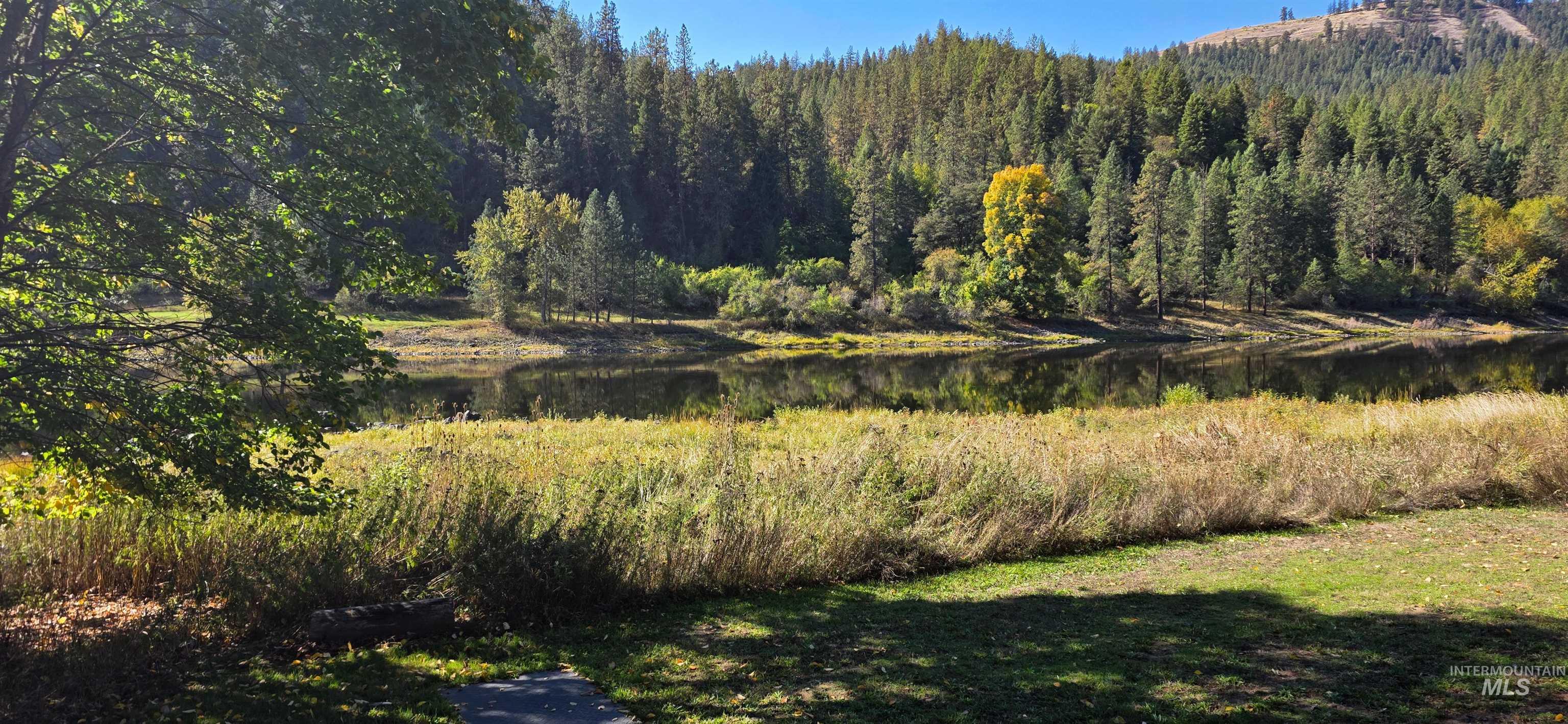 4480 Highway 12 Kamiah, ID 83536 - Photo 10 of 49 View of woods featuring a water view