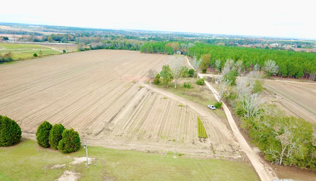 3.42-acres Summer Road Slocomb, AL 36375 - Photo 15 of 24