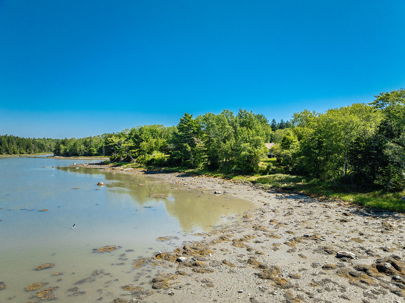 640 River Road Tenants Harbor, ME 04860 - Photo 56 of 75 DJI_0926