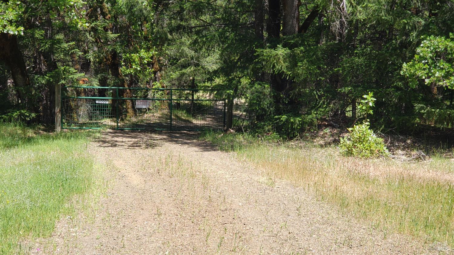 Undisclosed Address Laytonville, CA 95454 - Photo 13 of 13 a view of backyard of green space
