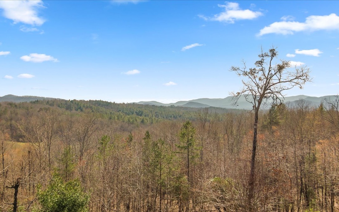 509 Antioch Cemetary Road Morganton, GA 30560 - Photo 50 of 51 Additional View