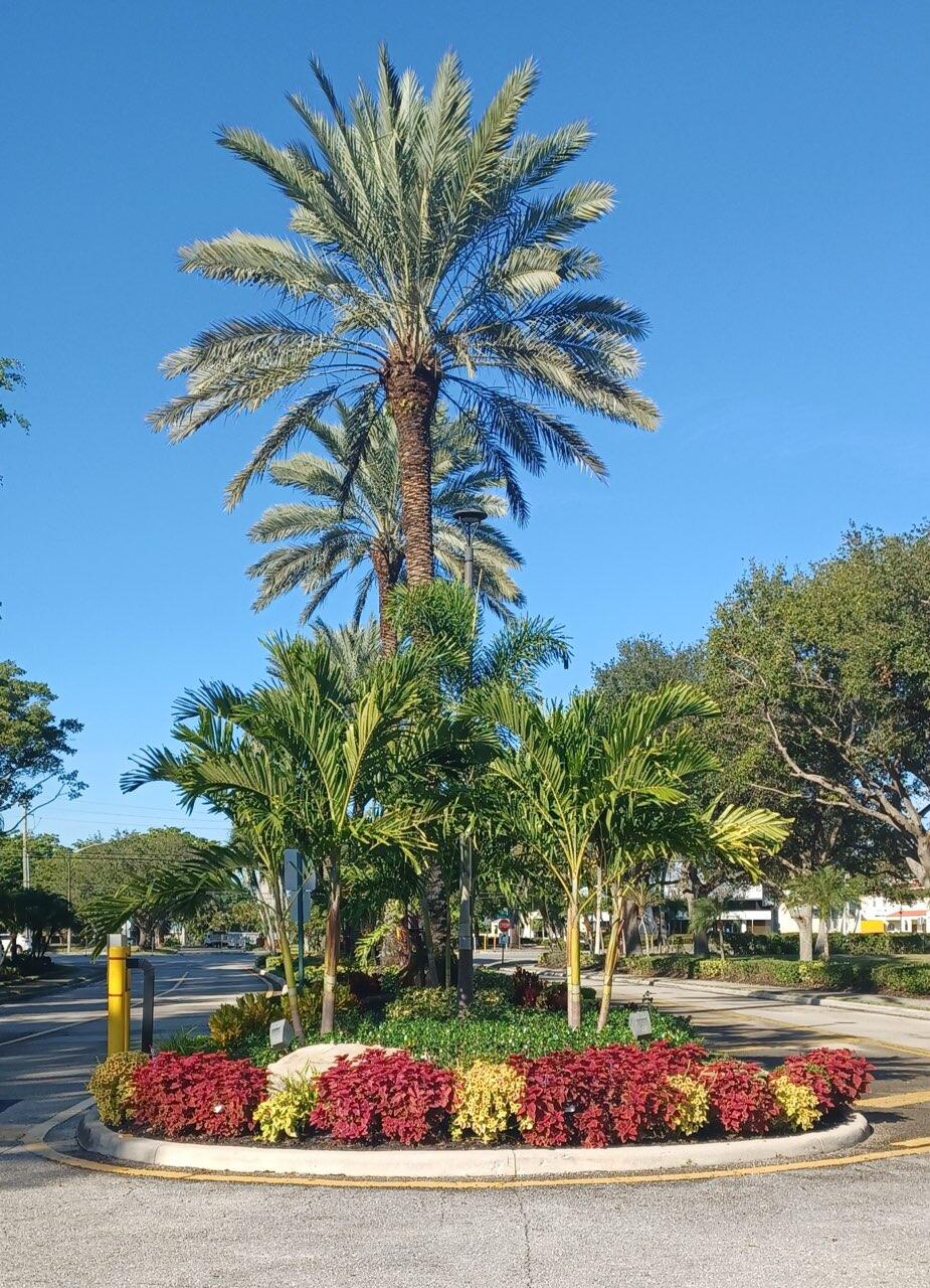 8130 Nadmar Avenue Boca Raton, FL 33434 - Photo 72 of 75 Brentwood