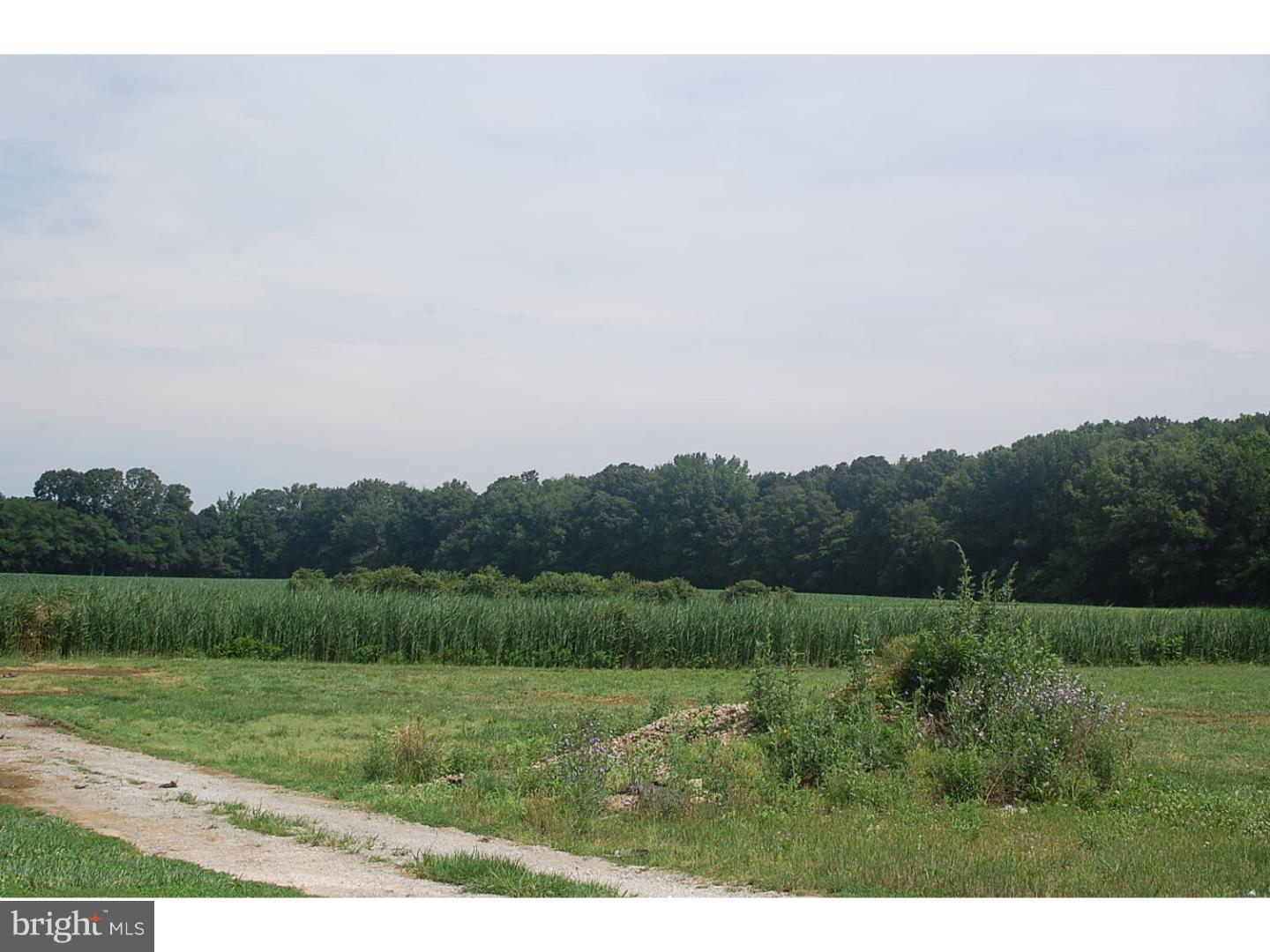 - Millington Road Clayton, DE 19938 - Photo 13 of 17 Gallery Image 13