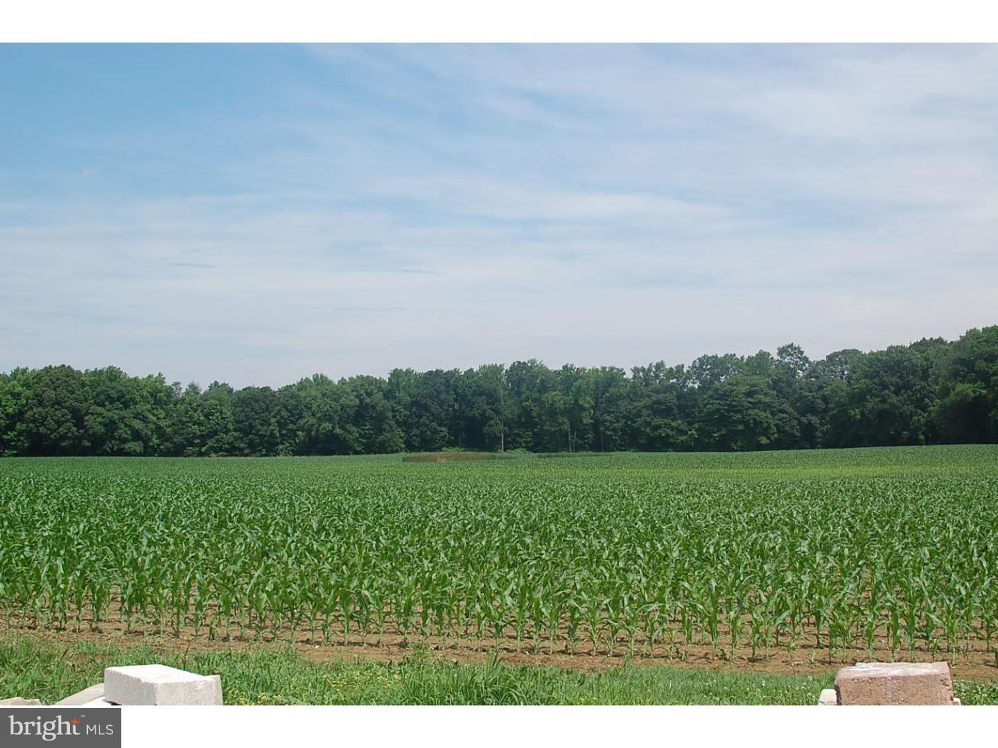 - Millington Road Clayton, DE 19938 - Photo 15 of 17 Gallery Image 15