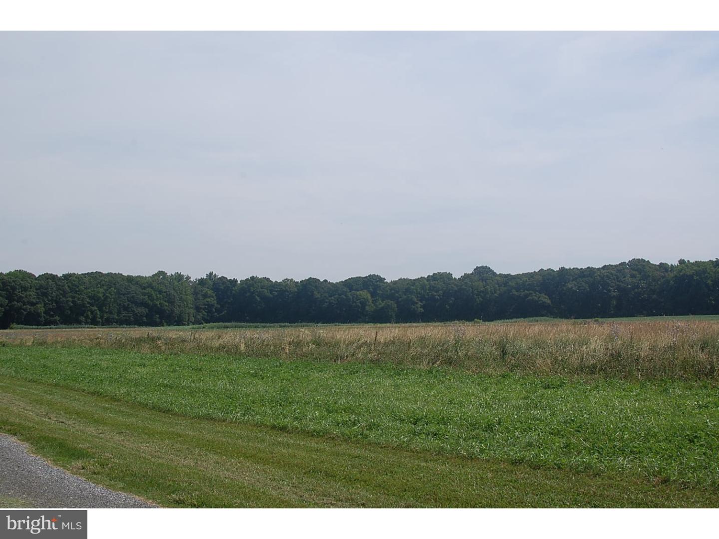 - Millington Road Clayton, DE 19938 - Photo 3 of 17 Gallery Image 3