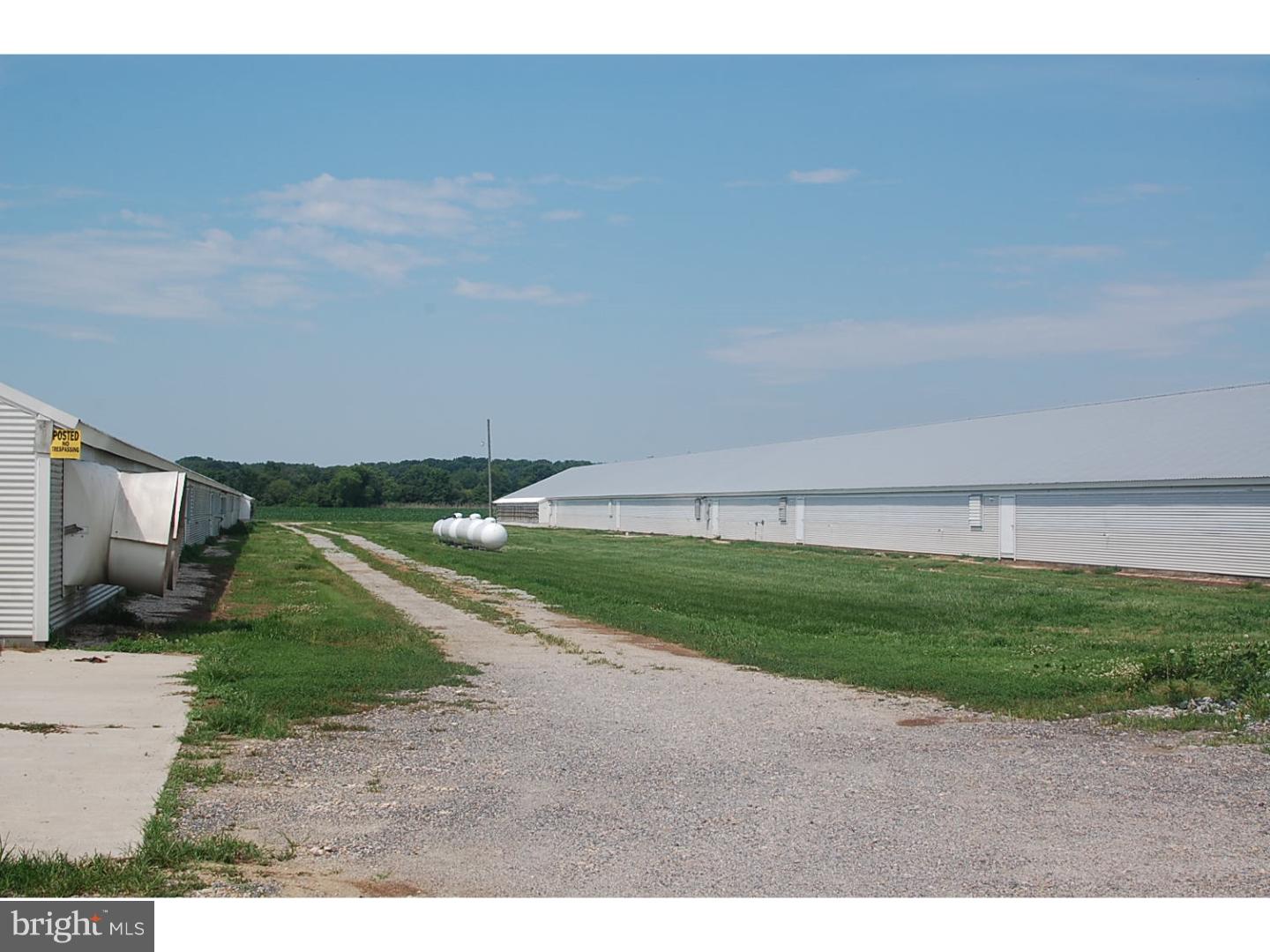 - Millington Road Clayton, DE 19938 - Photo 9 of 17 Gallery Image 9