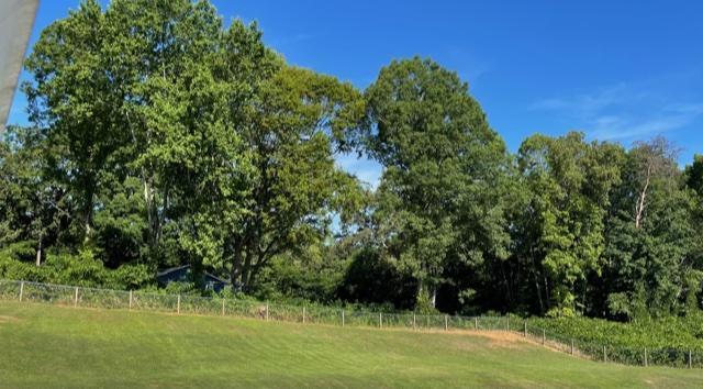 100 Shryer Road Athens, TN 37303 - Photo 6 of 28 thumbnail (5)