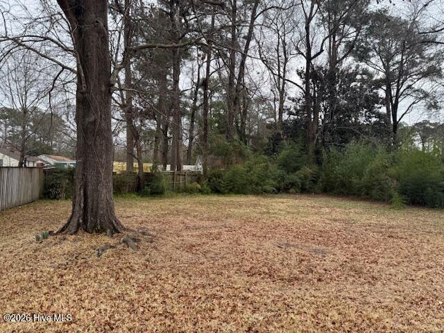 404 Delmar Road Jacksonville, NC 28540 - Photo 13 of 14 404 Delmar BackYard