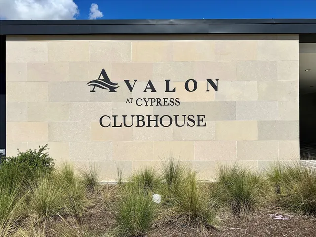 a view of a yard with plants and large trees