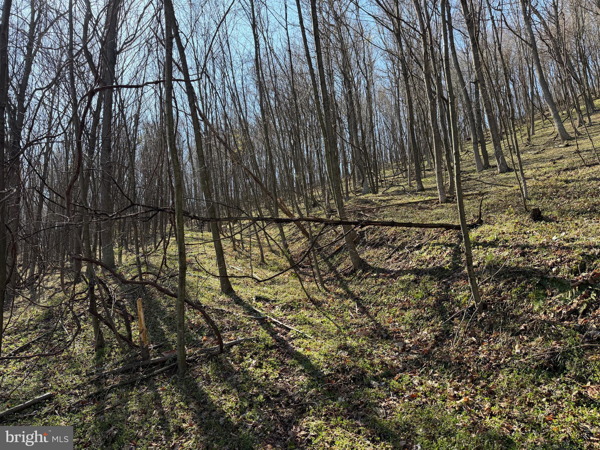129-acres Black Hollow Road Schellsburg, PA 15559 - Photo 52 of 72