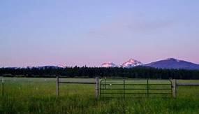 13784 Partridge Foot Black Butte Ranch, OR 97759 - Photo 36 of 68 BBR9