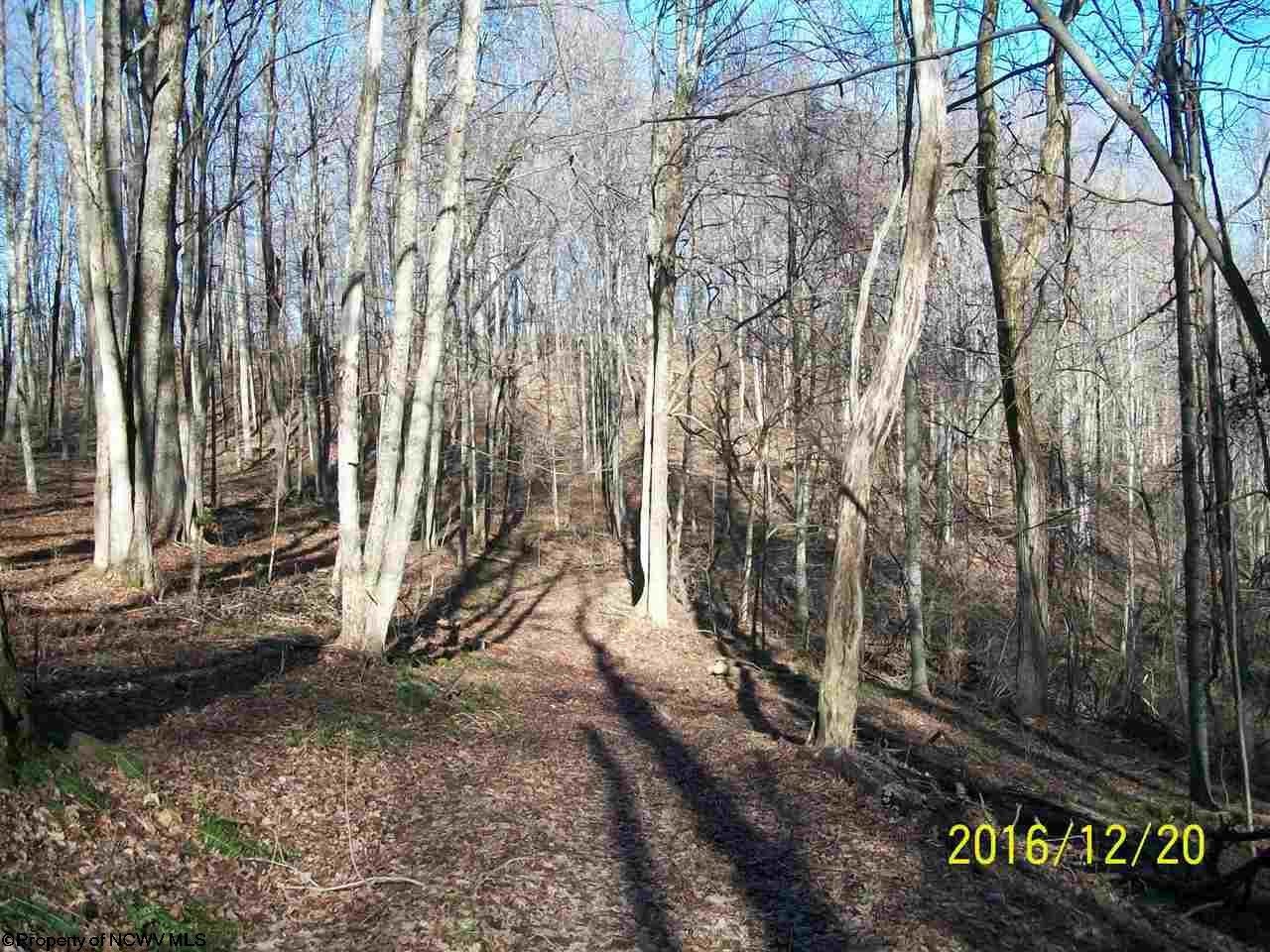 0 Salt Lick Road Montrose, WV 26283 - Photo 11 of 20 Gallery Image 11
